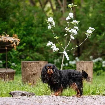 De Charme Au Milieu Du Monde